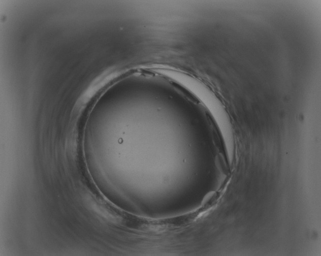 X0000086220295200704051247