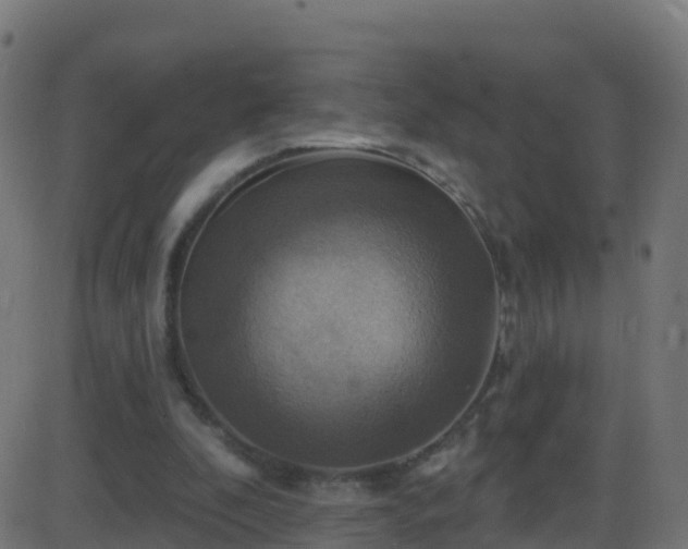 X0000086220296200704051247