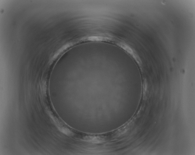 X0000086220297200704051247