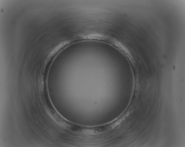 X0000086220298200704051247