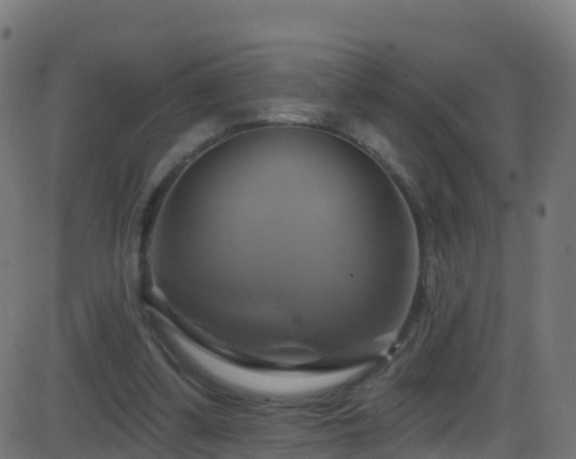 X0000086220299200704051247