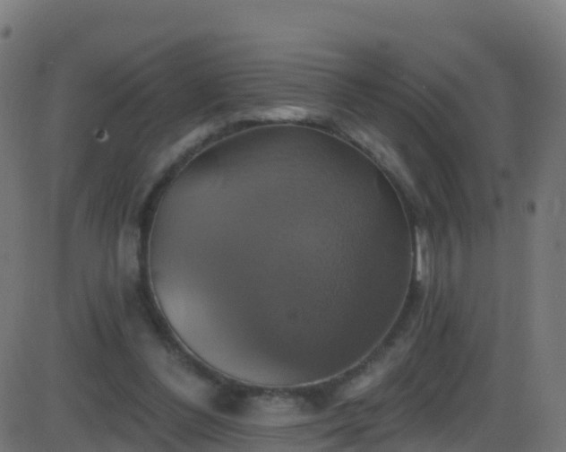 X0000086220300200704051247