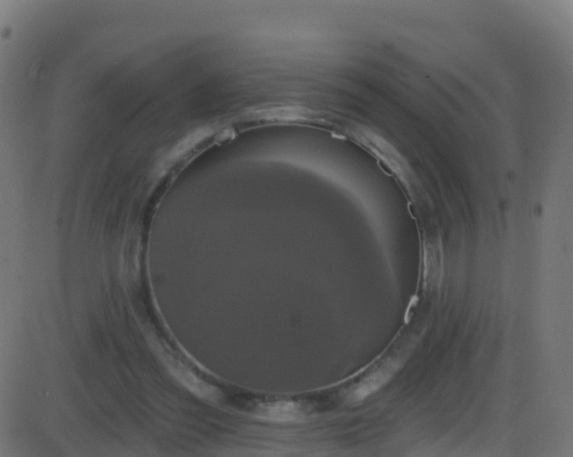 X0000086220301200704051247