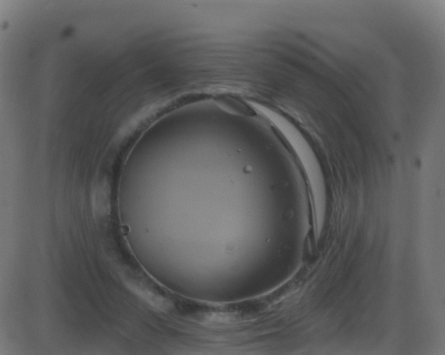 X0000086220303200704051247