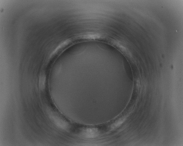 X0000086220304200704051247