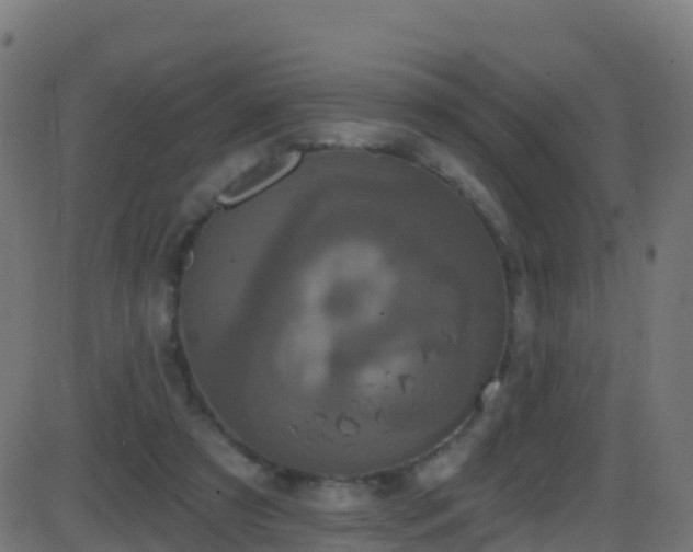 X0000086220305200704051247