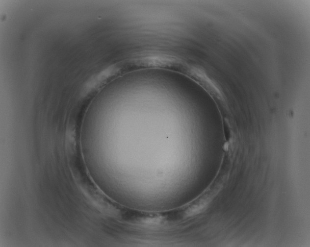 X0000086220306200704051247