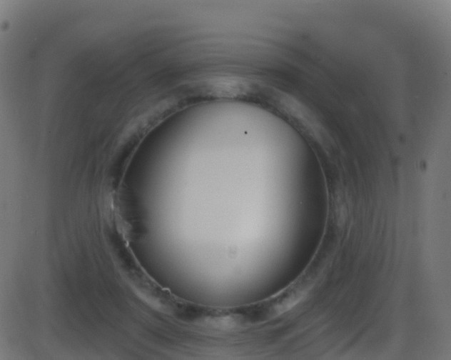 X0000086220307200704051247