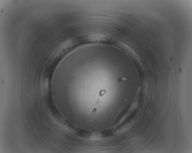 X0000086220308200704051247