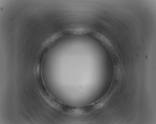 X0000086220310200704051247