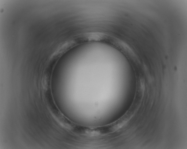 X0000086220311200704051247