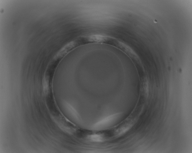 X0000086220312200704051247