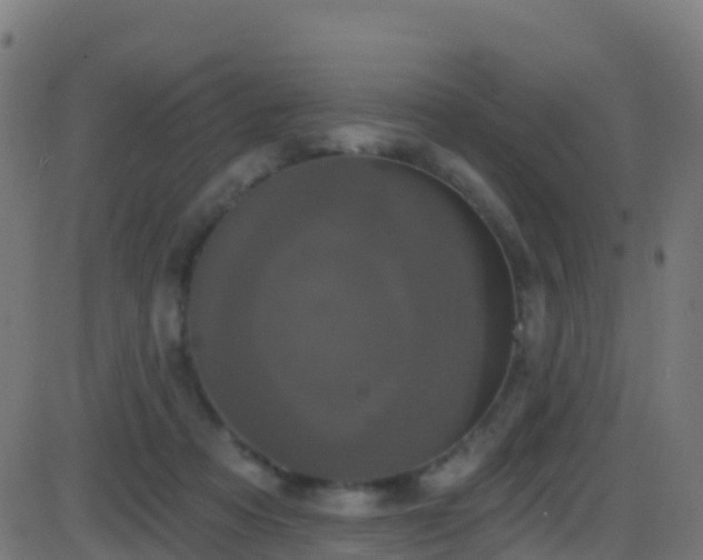 X0000086220313200704051247