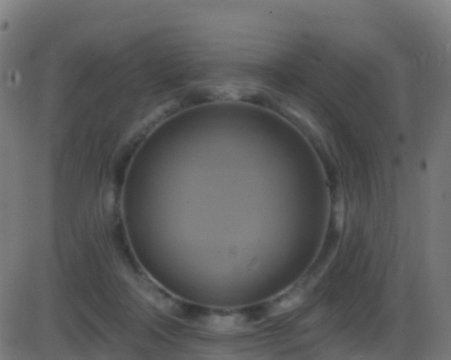 X0000086220314200704051247