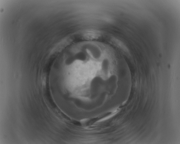 X0000086220315200704051247