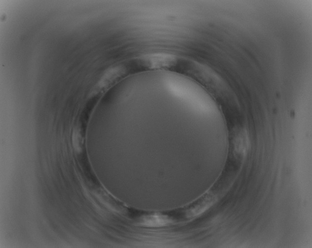 X0000086220316200704051247