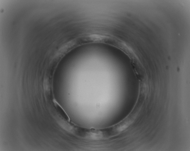 X0000086220317200704051247