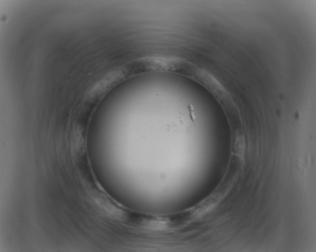 X0000086220318200704051247