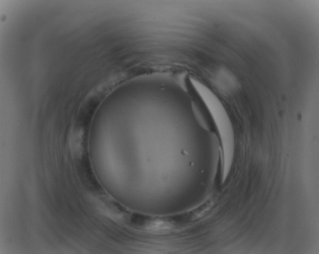 X0000086220319200704051247