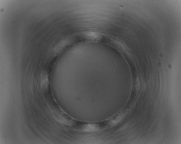 X0000086220320200704051247