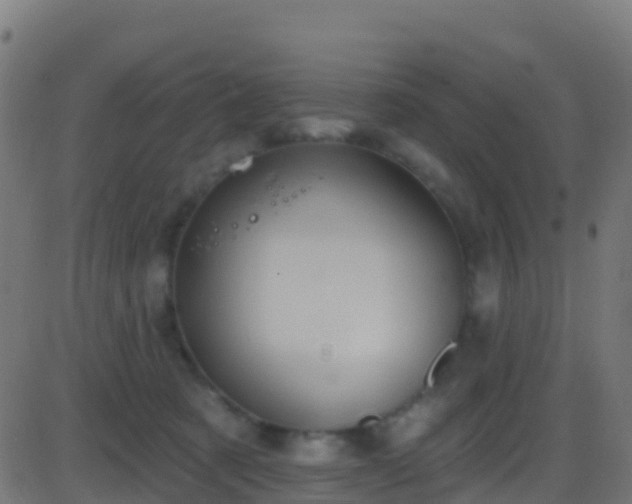 X0000086220321200704051247