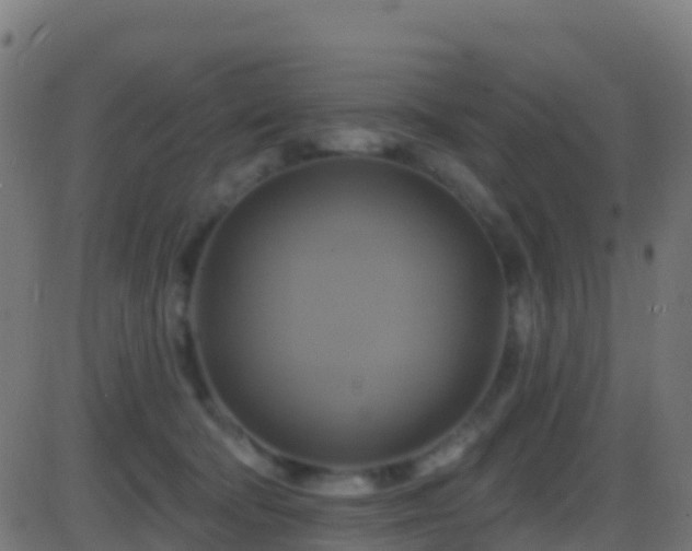 X0000086220322200704051247