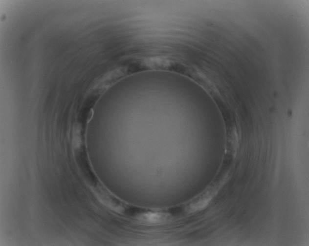 X0000086220323200704051247