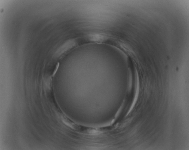 X0000086220325200704051247