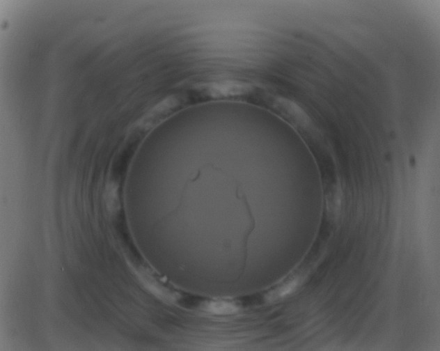 X0000086220327200704051247