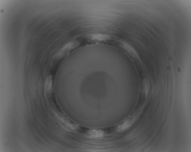 X0000086220328200704051247