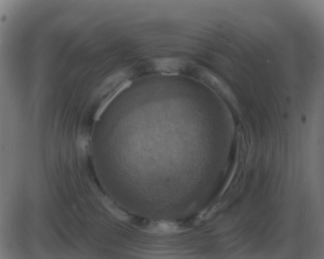 X0000086220329200704051247