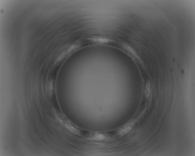 X0000086220330200704051247