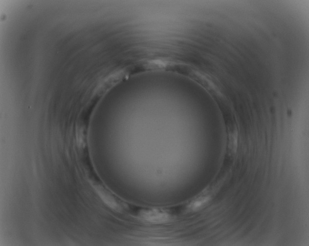 X0000086220331200704051247