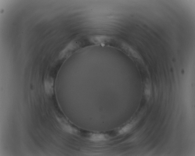 X0000086220332200704051247