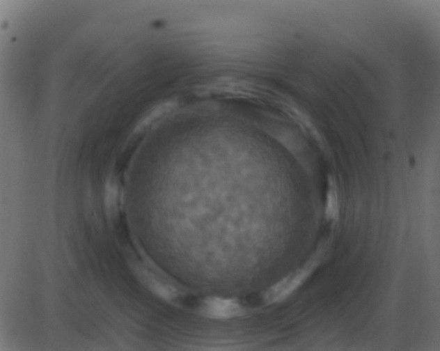 X0000086220333200704051247