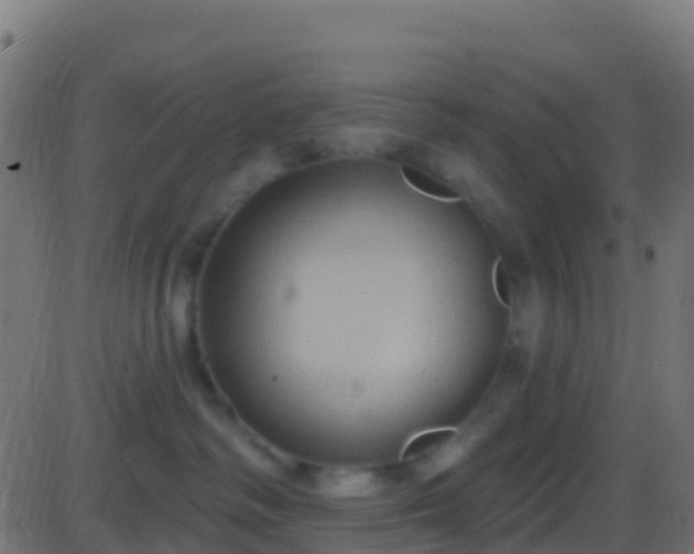 X0000086220334200704051247