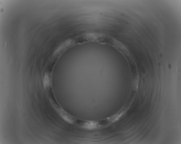 X0000086220335200704051247