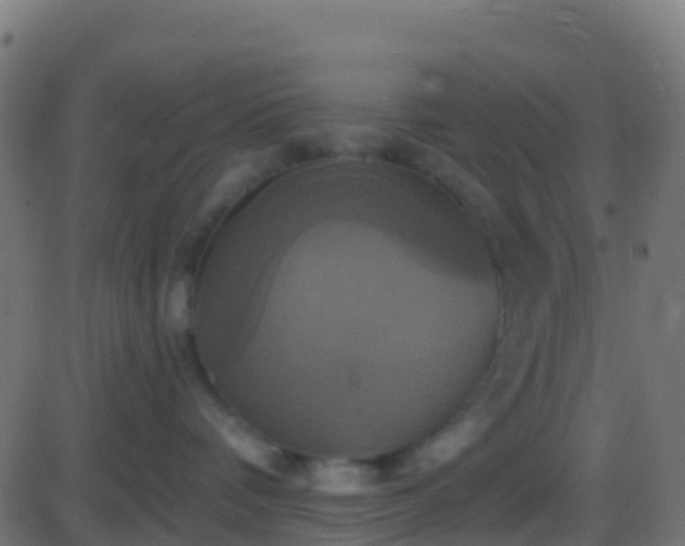 X0000086220336200704051246