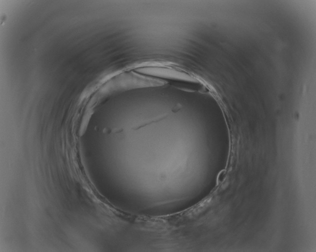 X0000086220337200704051246