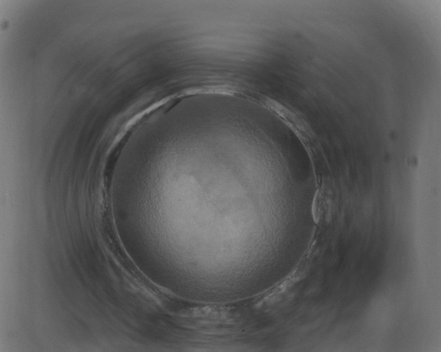 X0000086220338200704051246