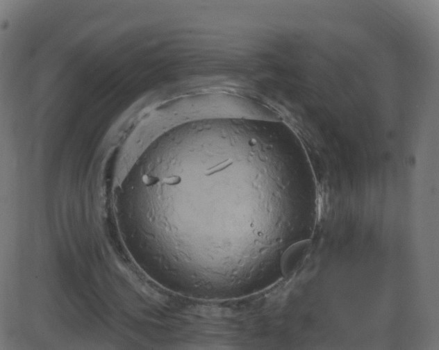 X0000086220339200704051246