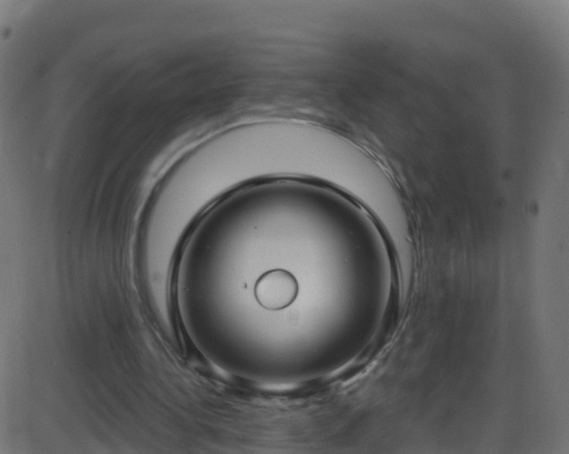 X0000086220340200704051246