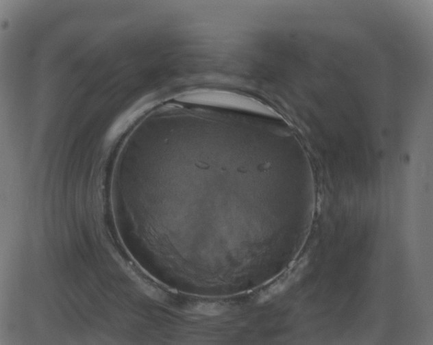 X0000086220341200704051246