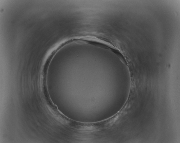 X0000086220342200704051246