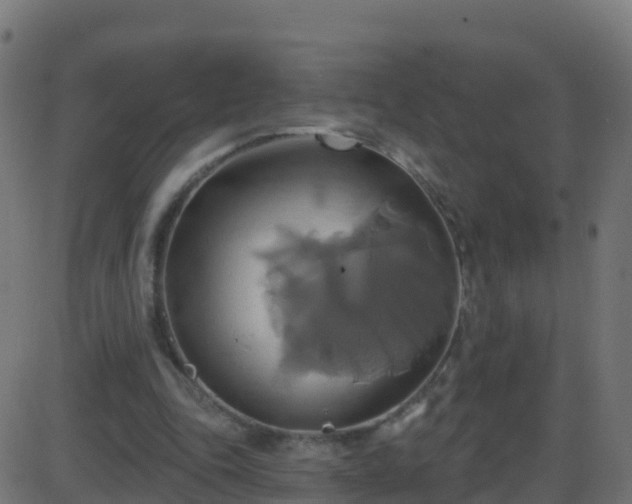 X0000086220343200704051246