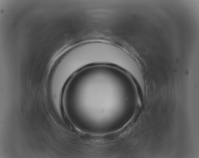 X0000086220344200704051246