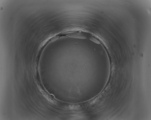 X0000086220345200704051246