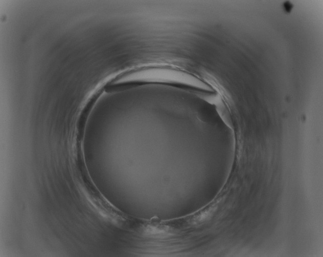 X0000086220346200704051246