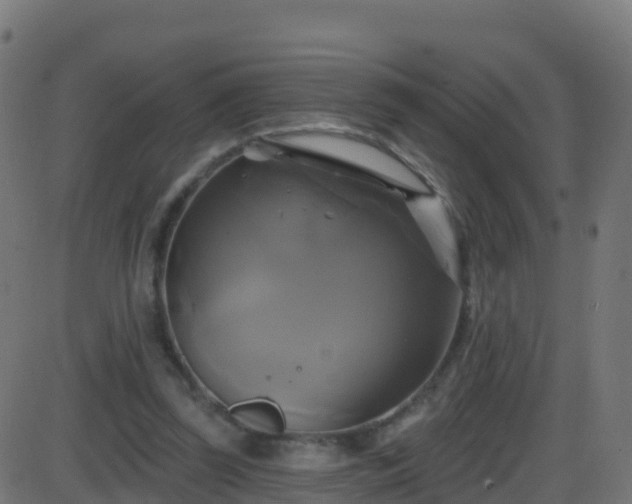 X0000086220347200704051246