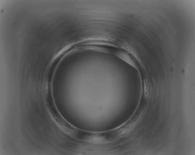 X0000086220348200704051246